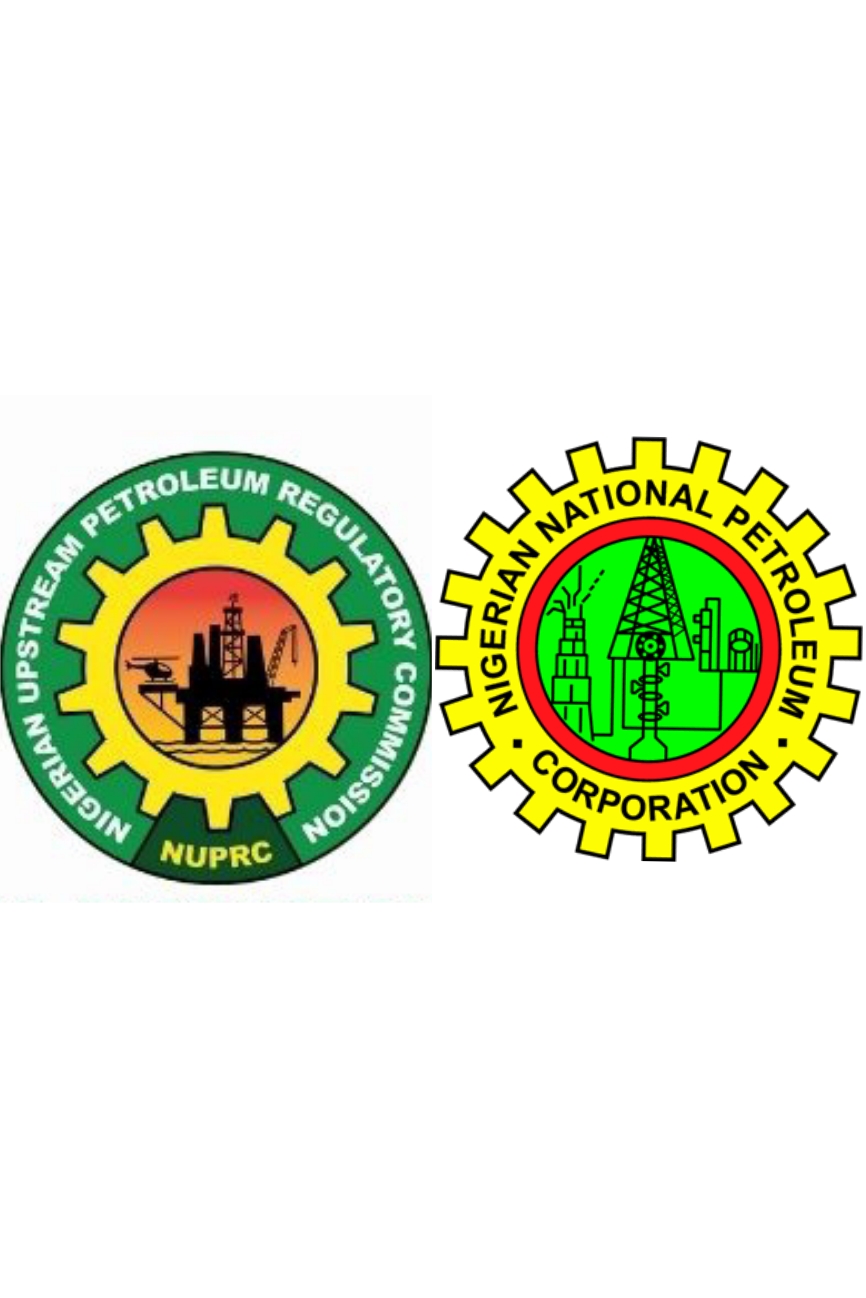 TINUBU THE TRIBAL PRESIDENT