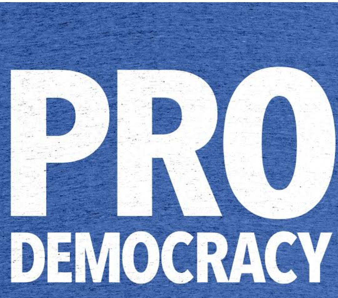 SHARING EGI'S DISAPPOINTMENT IN NIGERIA'S NASCENT DEMOCRACY 